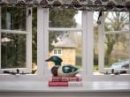 Window views